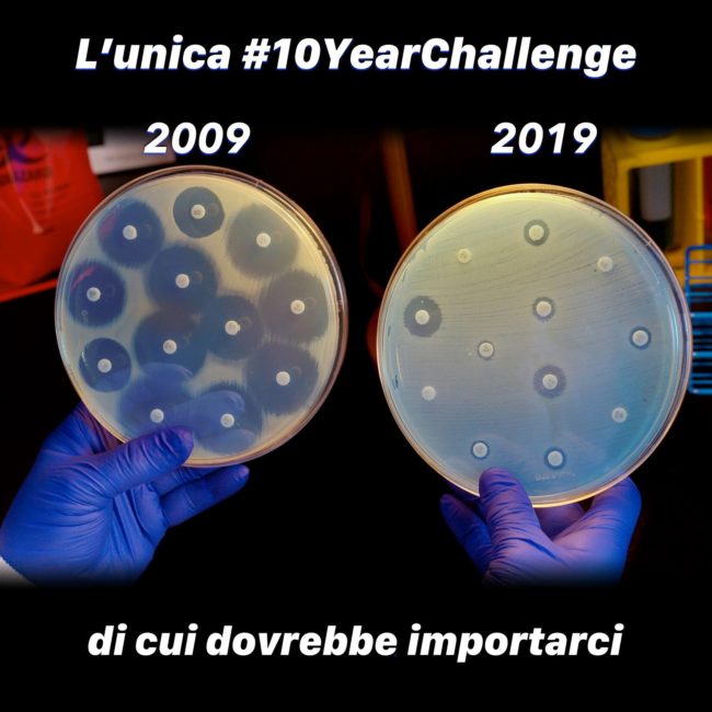 52851997_10215846274642225_5665230531084681216_o